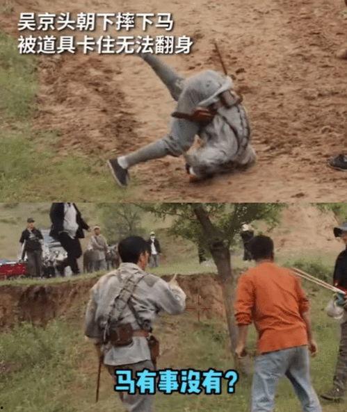 摔马视频,摔马视频背后的惊心动魄